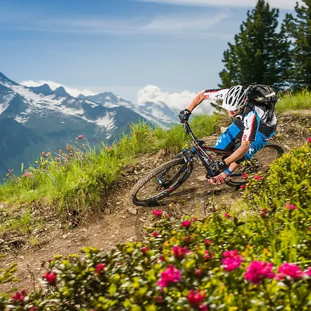 Strass - Sport & 迈尔霍芬