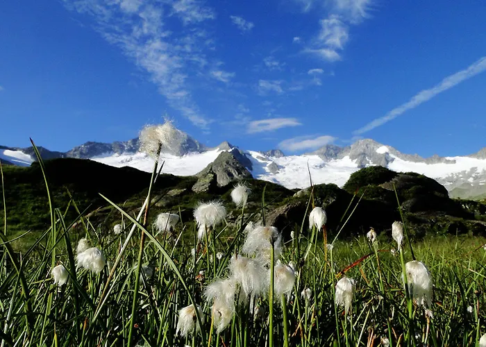 Отель Strass - Sport & 4*